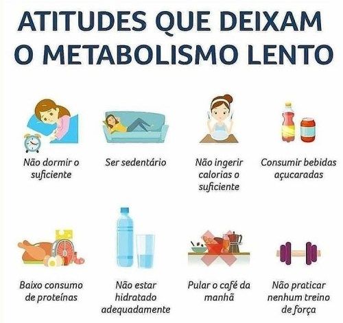 Deixe seu ❤️ Mas o que é metabolismo? O metabolismo pode ser...
