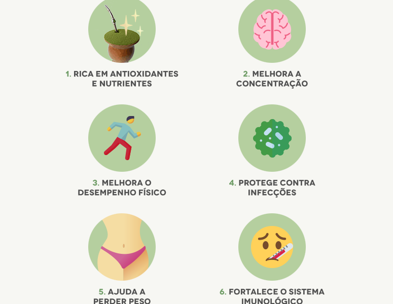 Erva-mate: 8 benefícios dessa planta para a saúde do corpo e da mente