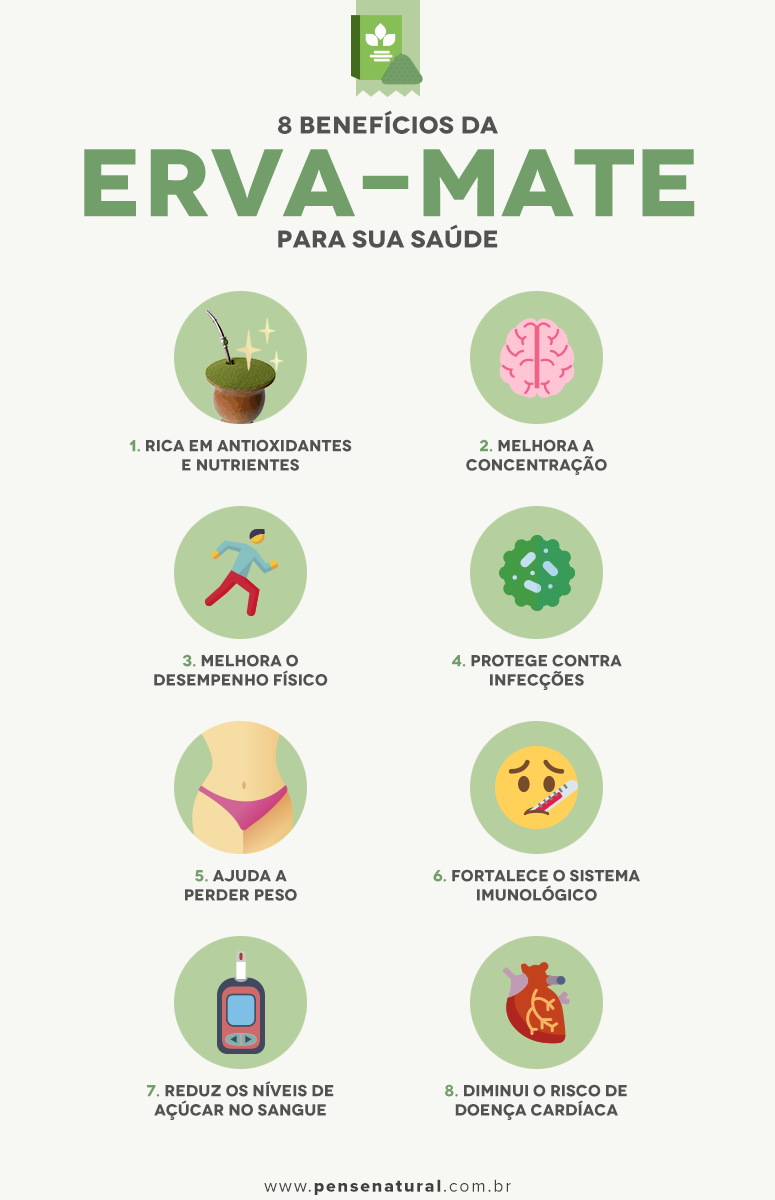 Erva-mate: 8 benefícios dessa planta para a saúde do corpo e da mente