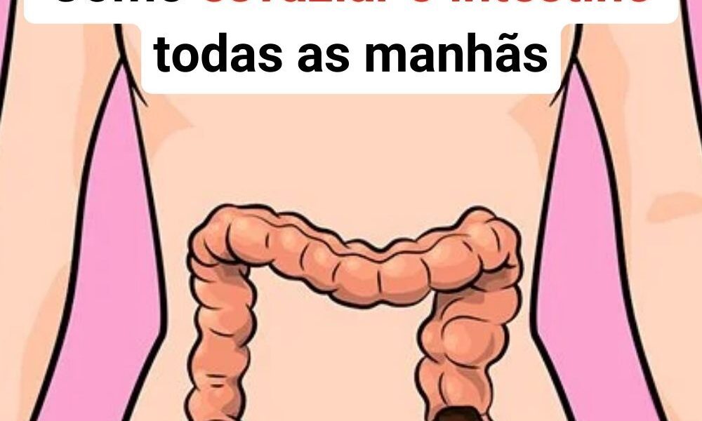 Médico Explica: Como esvaziar o intestino todas as manhãs