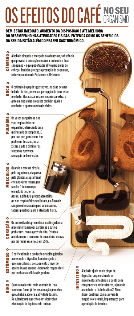 O caminho do café no seu organismo