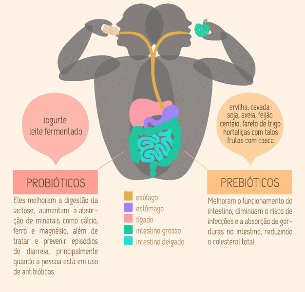 Probióticos e Prebioticos, qual a diferença? | Monica Wagner
