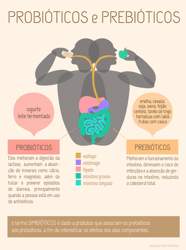 Probióticos e Prebioticos, qual a diferença? | Monica Wagner