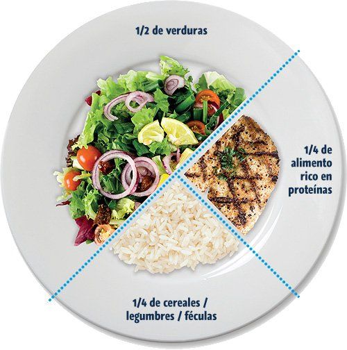 ¿Cómo debe ser su plato para comer sano y suficiente? - MisionesOnline