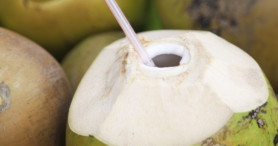 Hidratante e pouco calórica, a água de coco funciona como isotônico natural