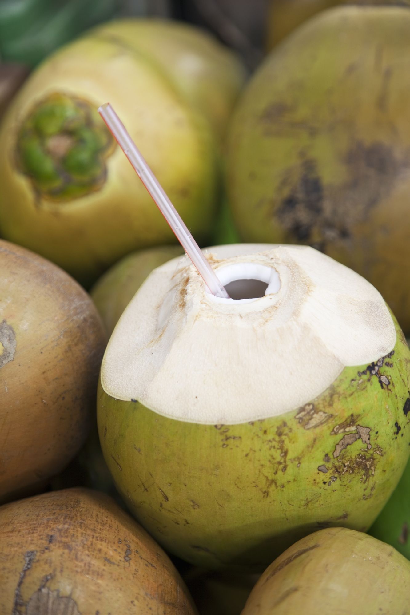 Hidratante e pouco calórica, a água de coco funciona como isotônico natural