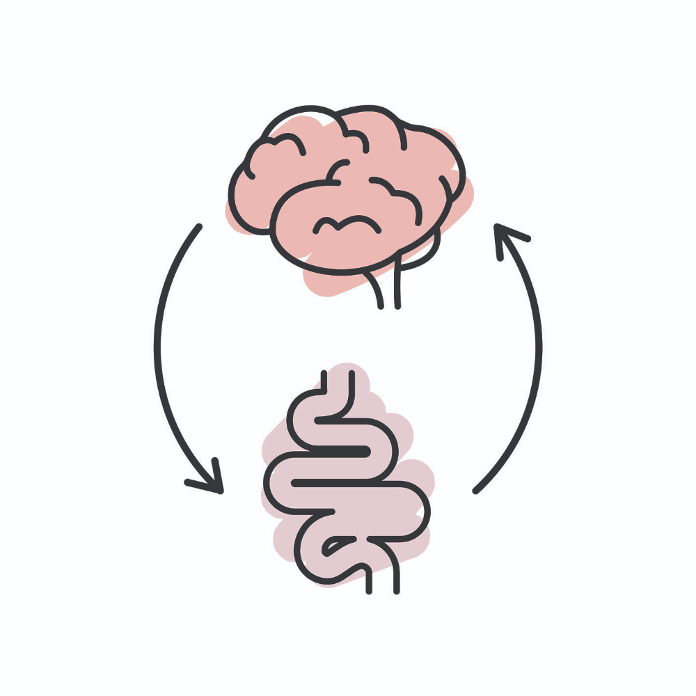 How Your Pet’s Gut Influences their Mood and Behavior