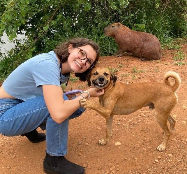 Jovem tenta tirar foto com capivara, mas cachorro caramelo aparece e muda a cena