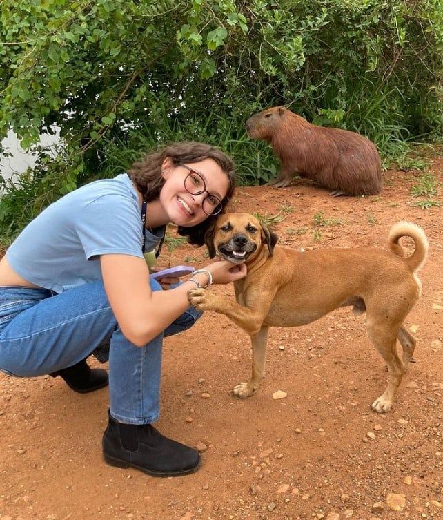 Jovem tenta tirar foto com capivara, mas cachorro caramelo aparece e muda a cena