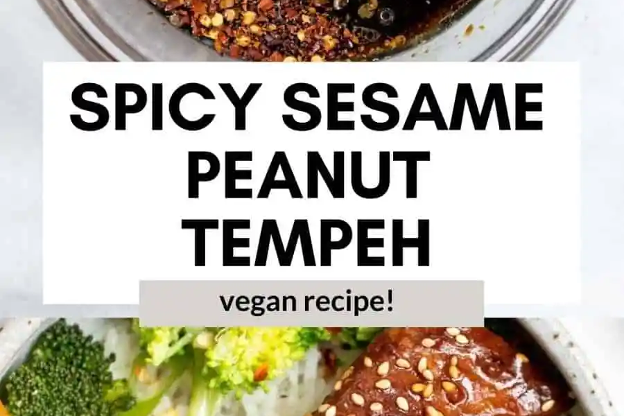 Marinated Sesame Peanut Tempeh