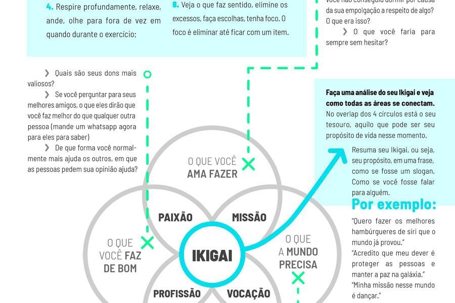 O QUE É IKIGAI E COMO ELE ME AJUDA? FUNCIONA MESMO?