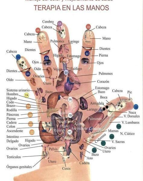 Terapia en tus Manos…literalmente