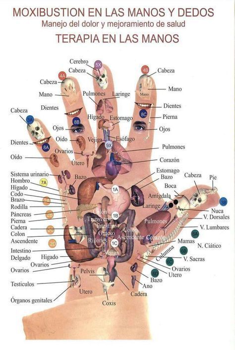 Terapia en tus Manos…literalmente