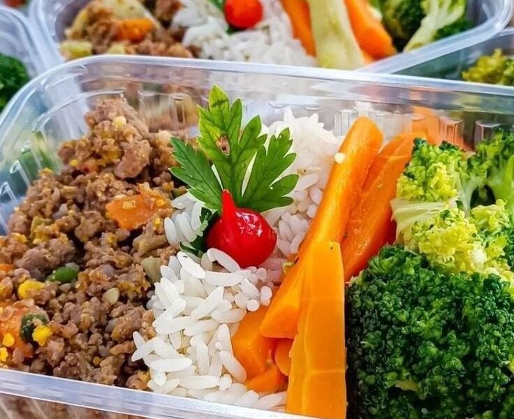 Tudo sobre marmita fitness!
