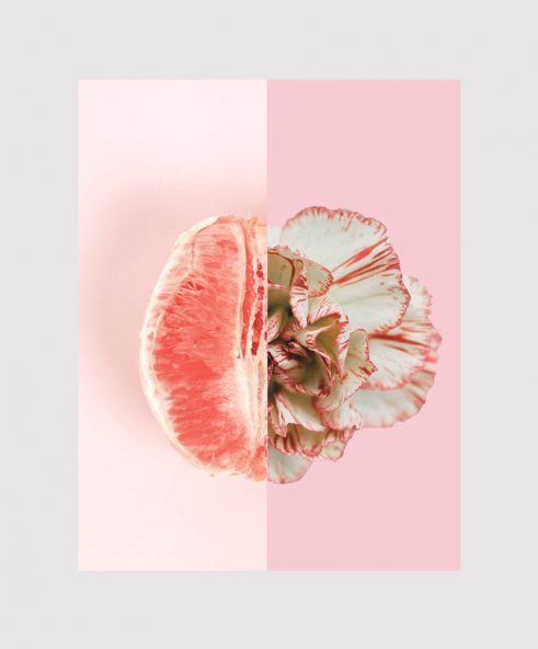 Why Are so Many Women Turning to Labiaplasty?