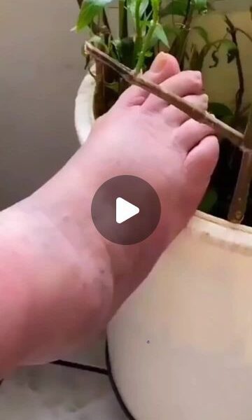 (notitle)