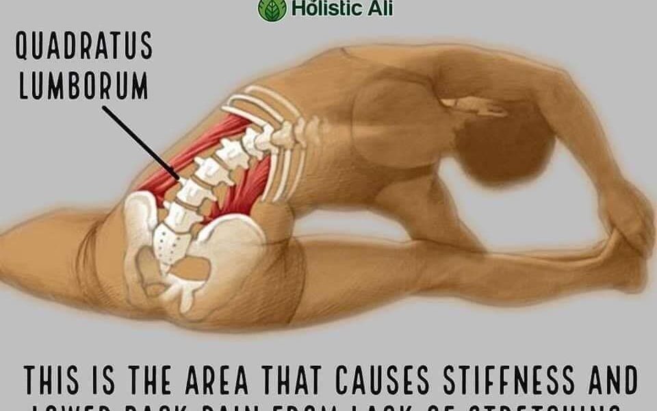 Help Your Body Feel Its Best with these 11 Crucial Stretches