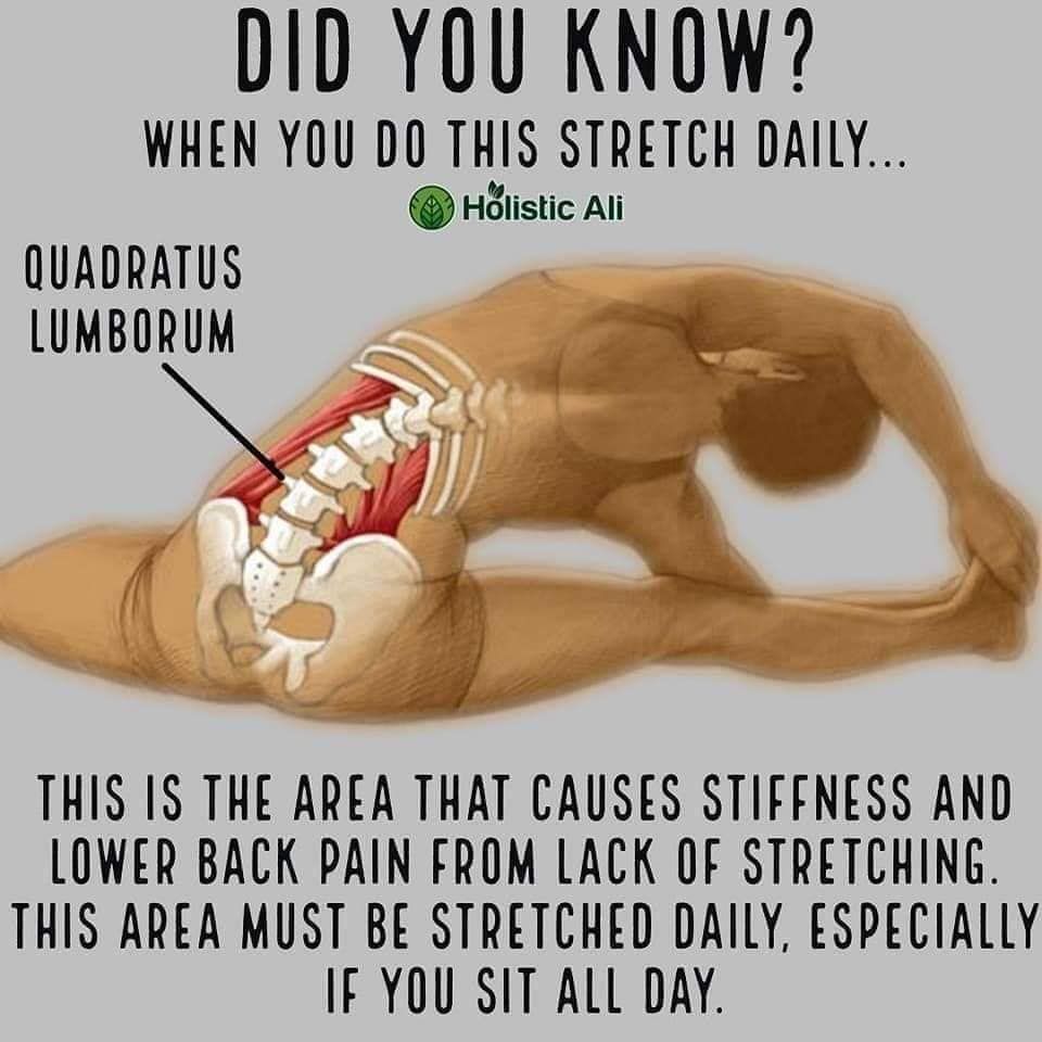 Help Your Body Feel Its Best with these 11 Crucial Stretches