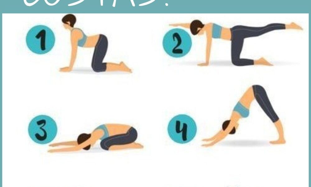 POSES DE IOGA PARA ALIVIAR DORES NAS COSTAS