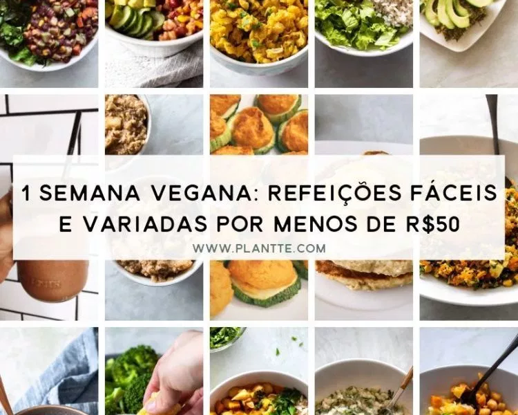 Uma Semana Vegana: Refeições Variadas e Fáceis de Fazer por Menos de 50 Reais | Plantte