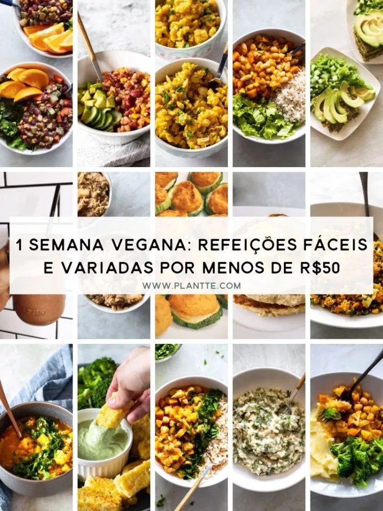 Uma Semana Vegana: Refeições Variadas e Fáceis de Fazer por Menos de 50 Reais | Plantte