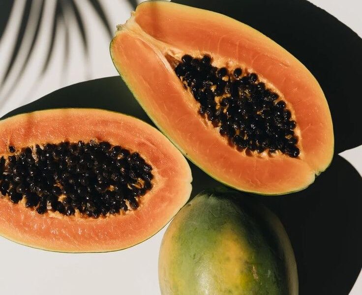 Digestive Enzymes to Improve Gut Health