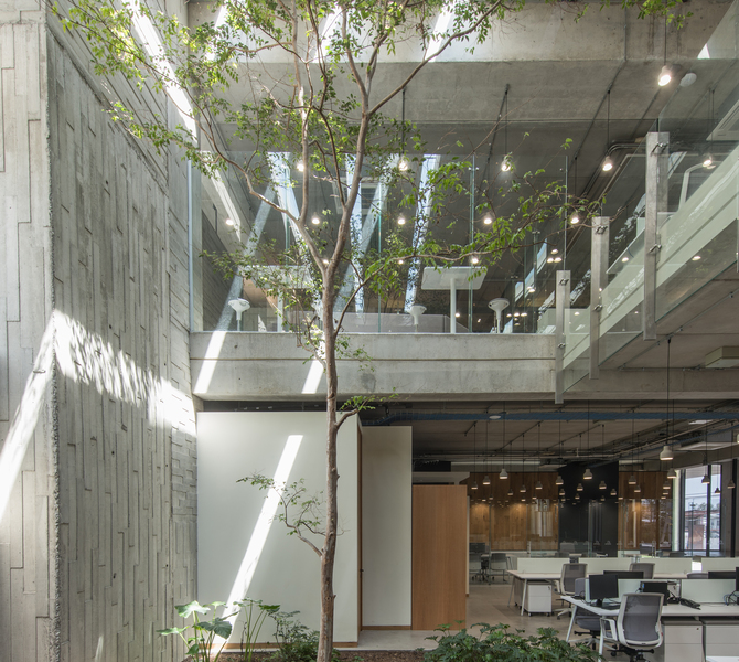 Gallery of Anteus Constructora Headquarters / Ricardo Yslas Gámez Arquitectos  - 13
