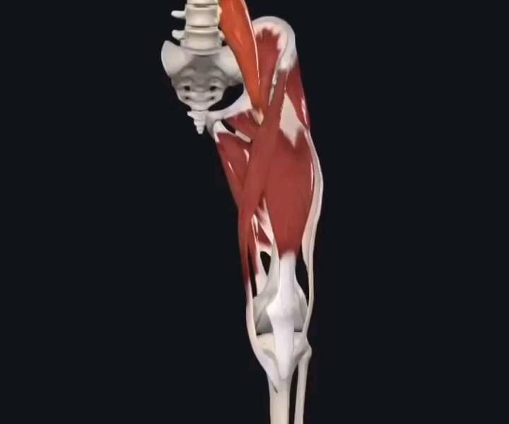 Ílio PSOAS