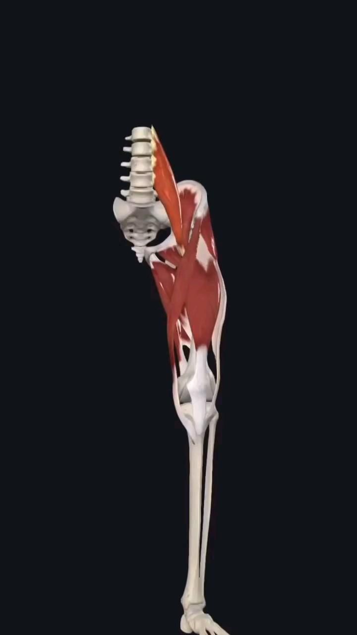 Ílio PSOAS