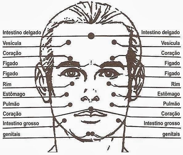 Mapa reflexológico completo do rosto - muito interessante! - O Segredo