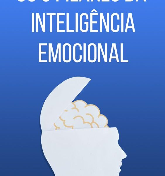 Mindset: Como Desenvolver Uma Mentalidade de Sucesso