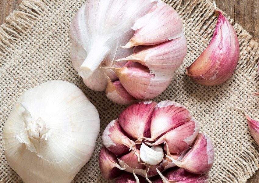 Os alimentos e a espiritualidade