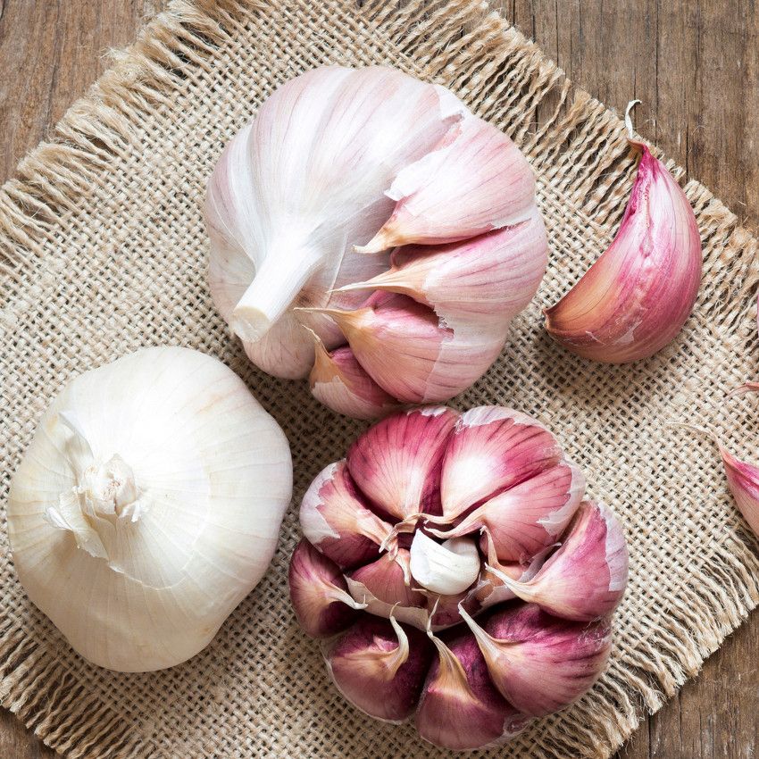 Os alimentos e a espiritualidade