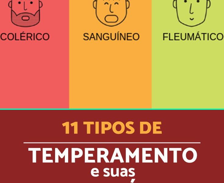 Qual o seu tipo de TEMPERAMENTO?