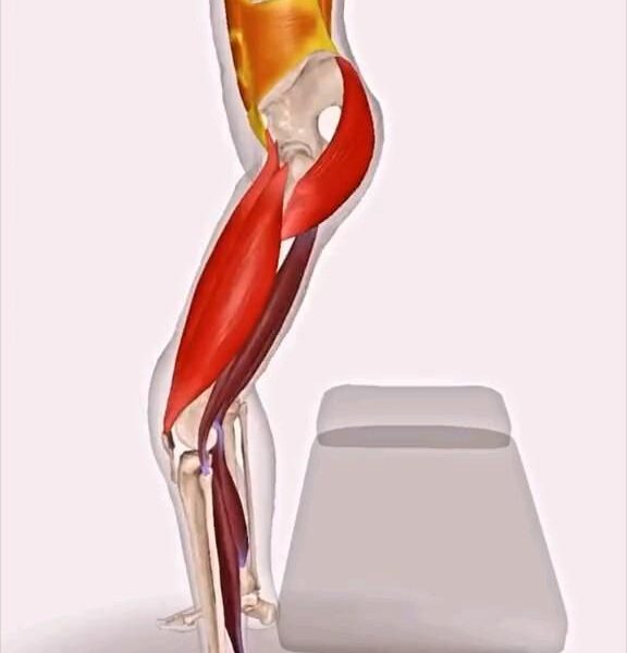Sabia que o agachamento é o rei dos exercícios?