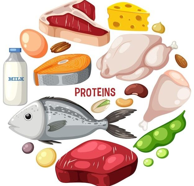 Variedade de carnes de proteína com texto | Vetor Premium